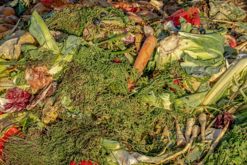 compost légumes