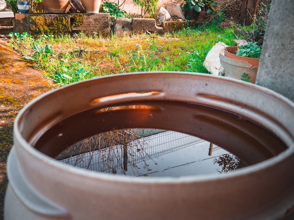 jar eau jardin