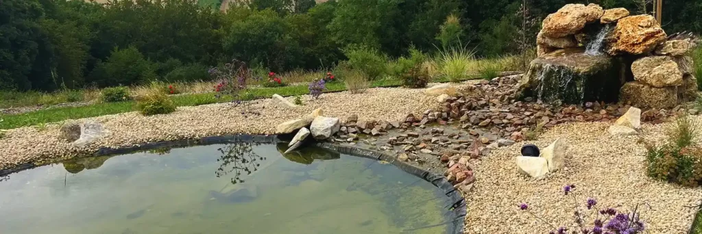 bassin vert et rocheux