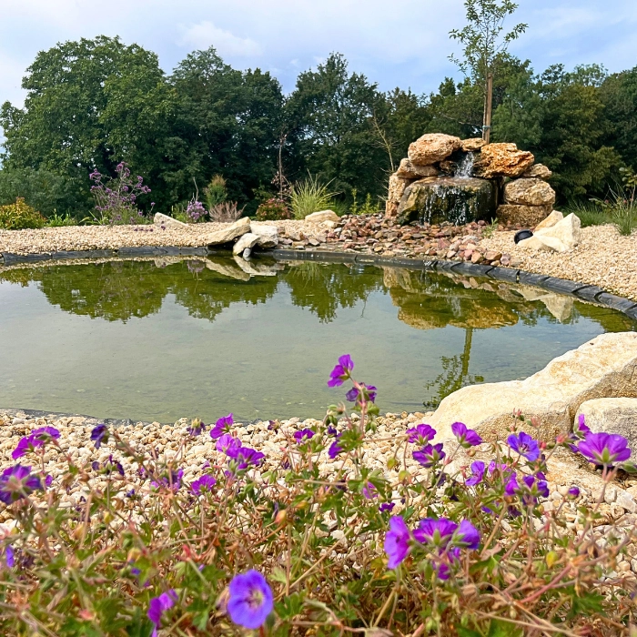 création bassin paysagiste marne