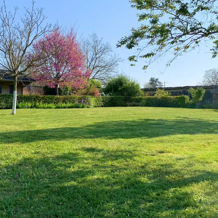 entretien jardin paysagiste marne
