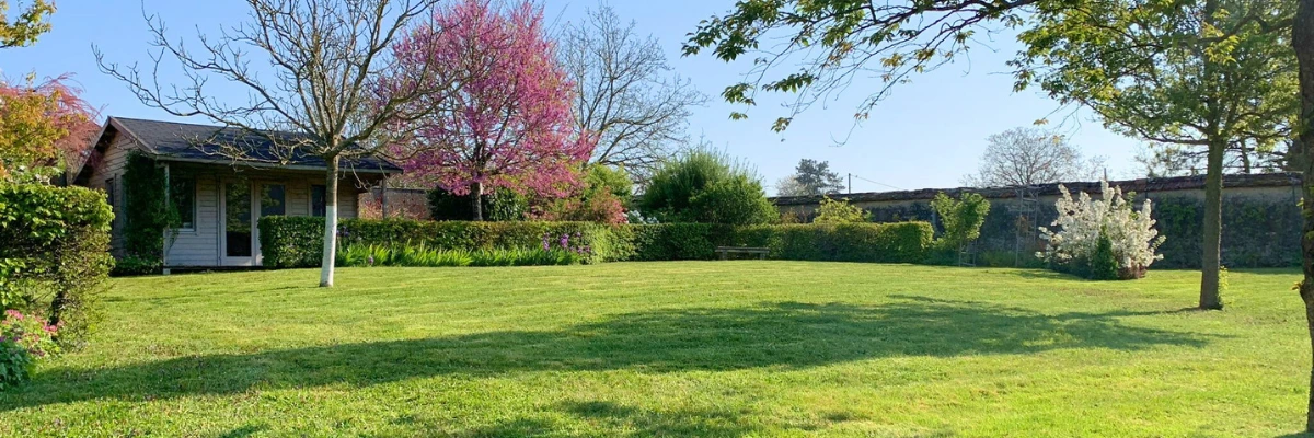 tonte de pelouse et taille de haie jardinier marne