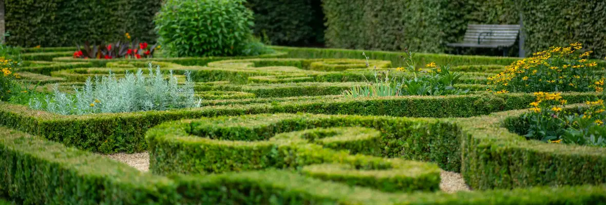 jardin taillé Pierre Geeraerts paysagiste Marne