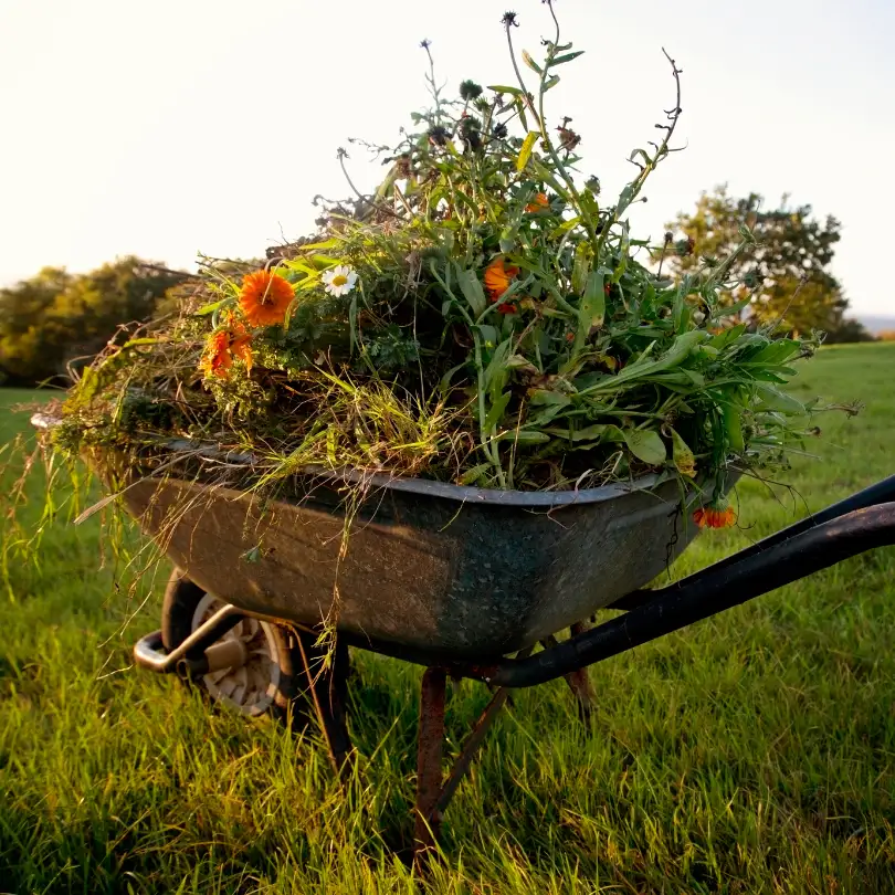 Tri des déchets verts