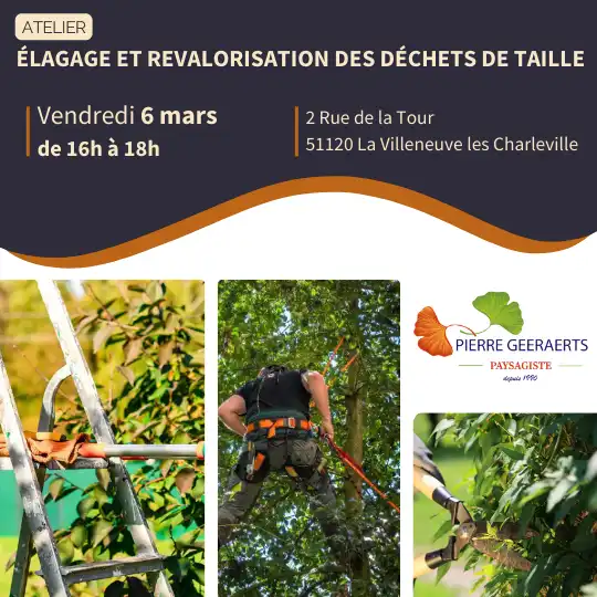 atelier jardin paysagiste marne