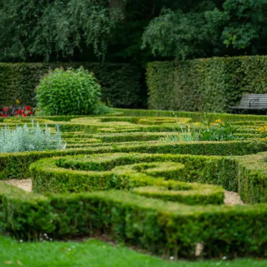 remise en état jardin été marne paysagiste jardinier