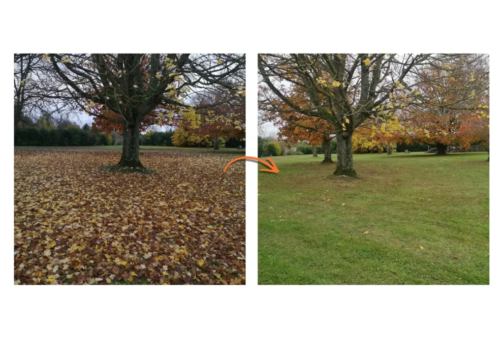 ramassage feuilles