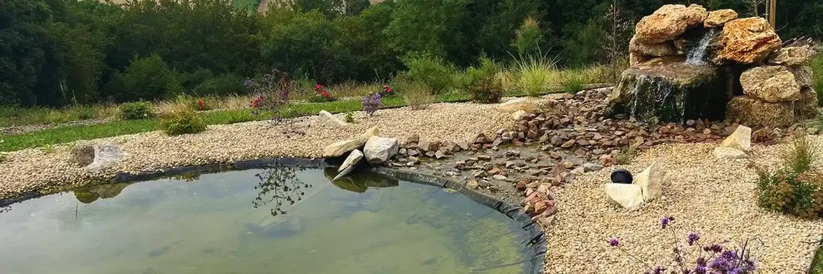 bassin vert et rocheux